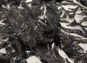 Pedrería Fantasía Negra